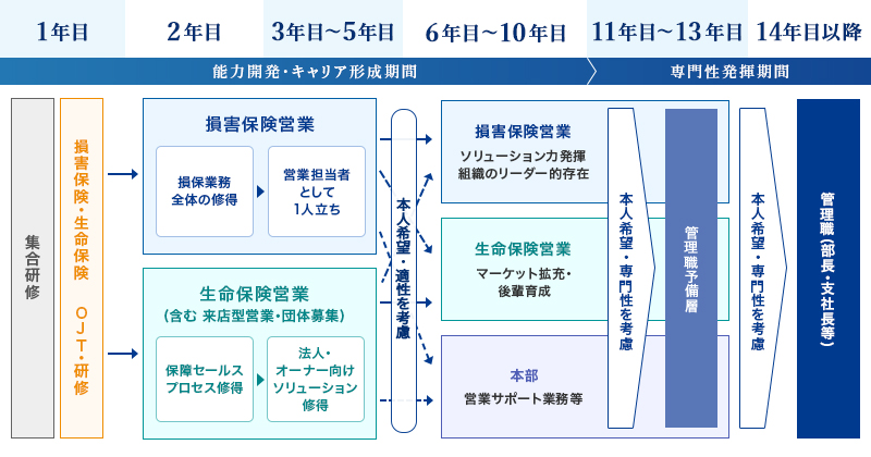 キャリア開発プログラムのイメージ図