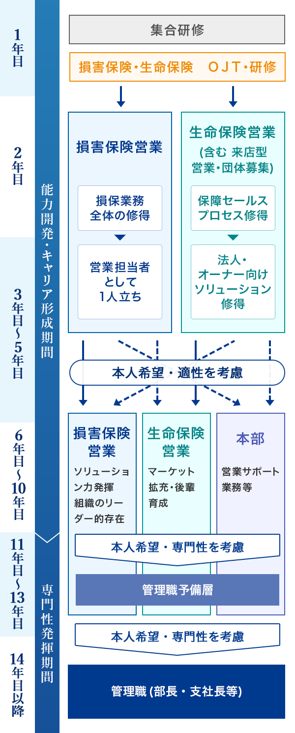 キャリア開発プログラムのイメージ図