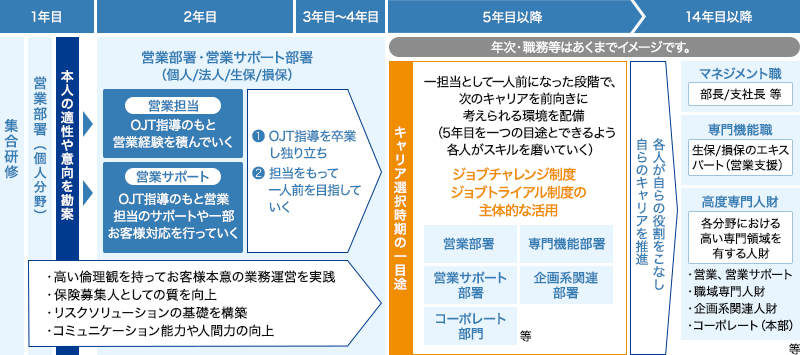 キャリア開発プログラムのイメージ図