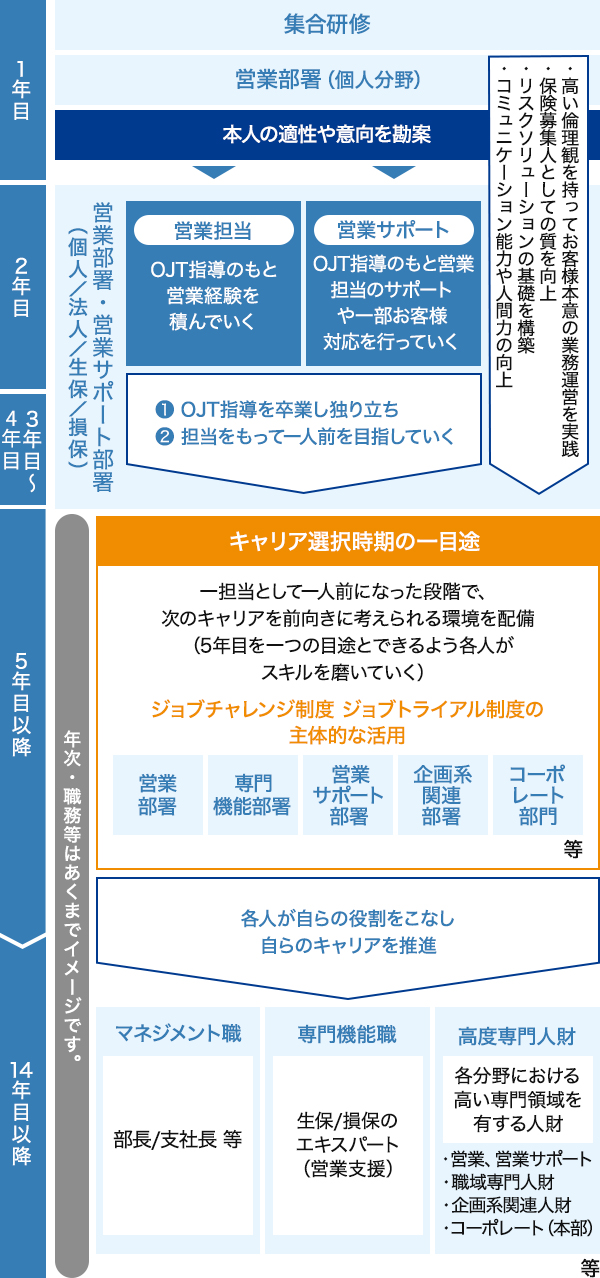 キャリア開発プログラムのイメージ図