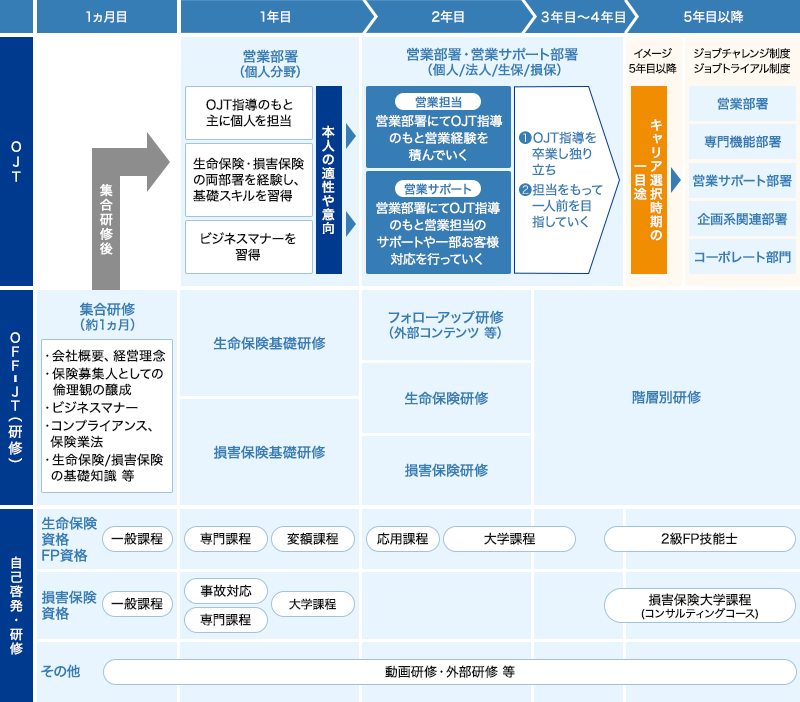 研修体系(新卒総合職)のイメージ図