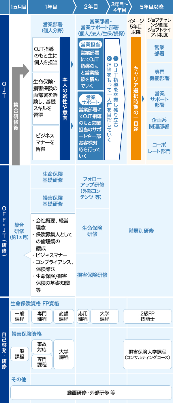 研修体系(新卒総合職)のイメージ図