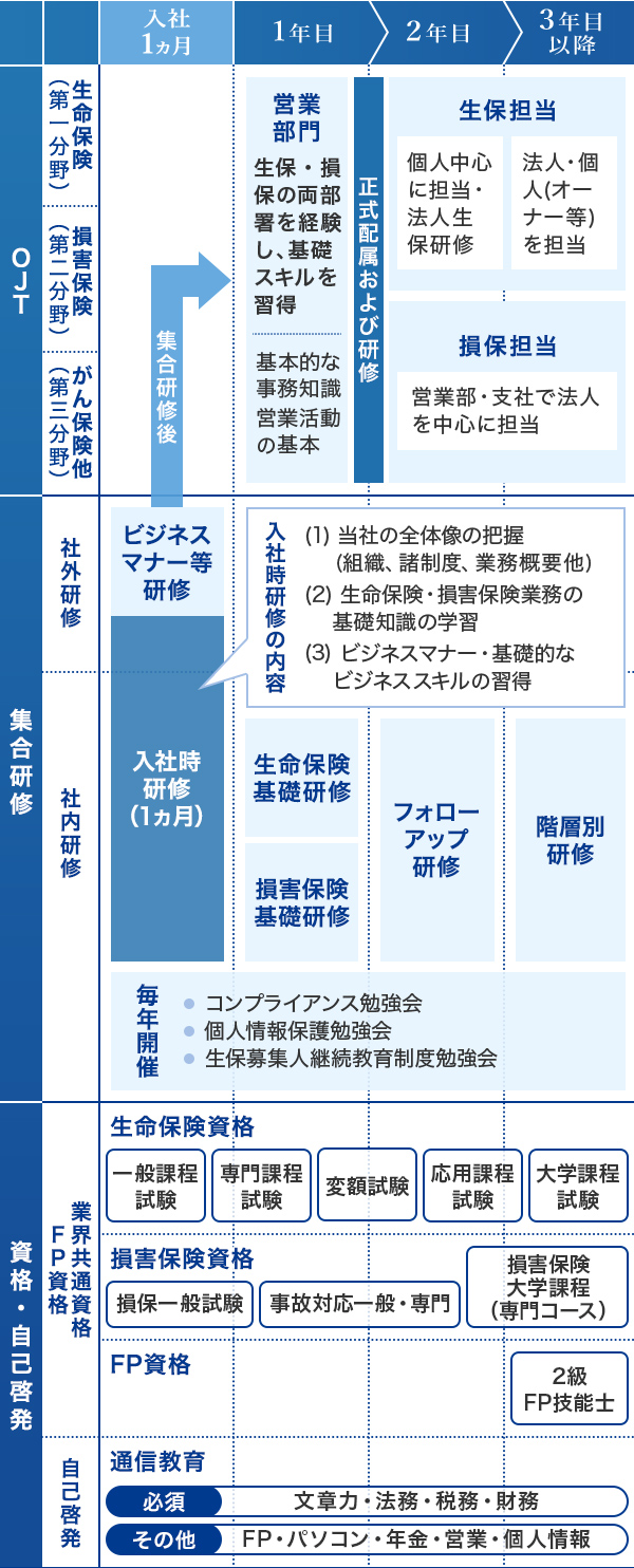 研修体系(新卒総合職)のイメージ図